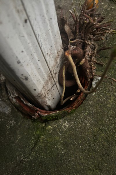 A gutter going through a stone ground with clay pipes around.