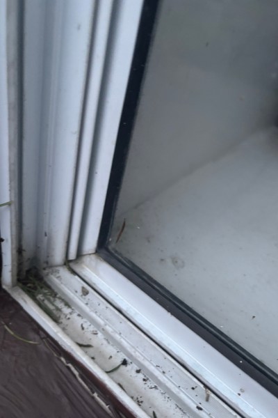 Mold shown in the corner's of a glass door.