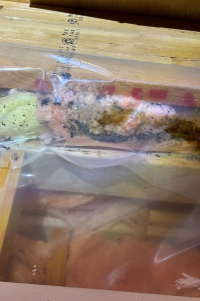 Plastic wrap covering the insides of someone's walls, including some evidence of rodent activity.
