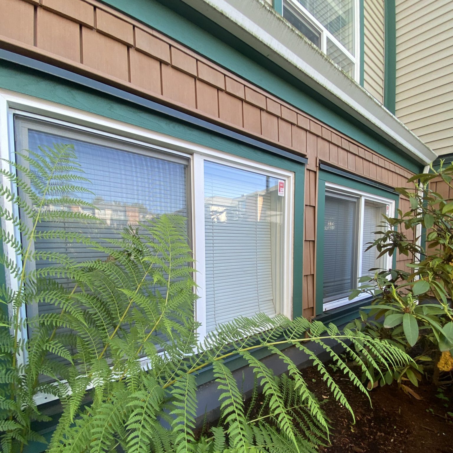 Windows at ground level shown from a building's exterior view.