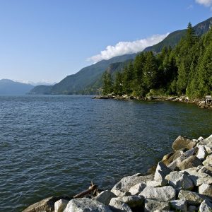 A coastline view of Mill bay with rocks in the foreground and trees in the background.