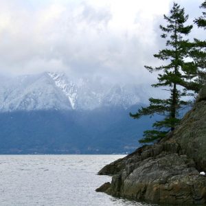 A coastline view of Mill bay with trees in the foreground and mountains in the background.